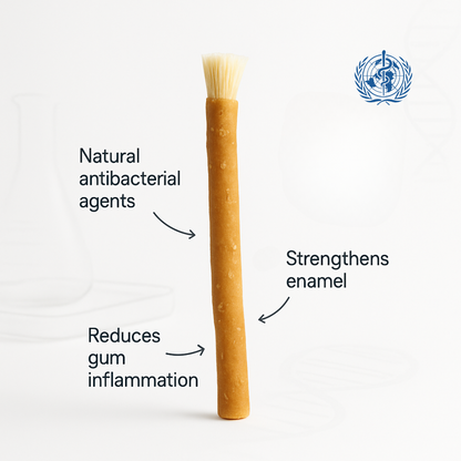 The Miswak-Natural Solutions for Teeth Whitening